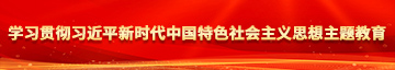 黄色少萝学习贯彻习近平新时代中国特色社会主义思想主题教育